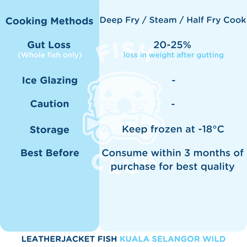Leather Jacket Fish (Kuala Selangor Wild) Whole Steak / 肉竹鱼（瓜雪野生）全鱼段 - Fish Club