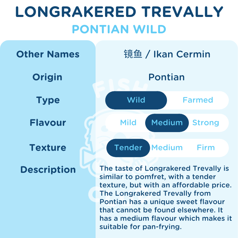 Longrakered Trevally (Pontian Wild) / 镜鱼（笨珍野生） - Fish Club