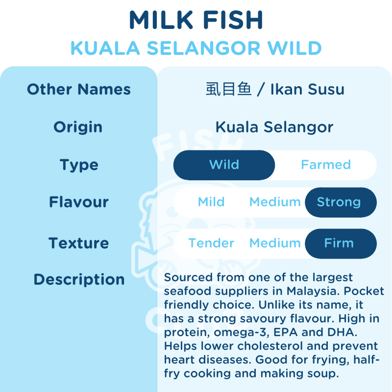Milk Fish (Kuala Selangor Wild) / 牛奶鱼 (瓜雪野生) - Fish Club