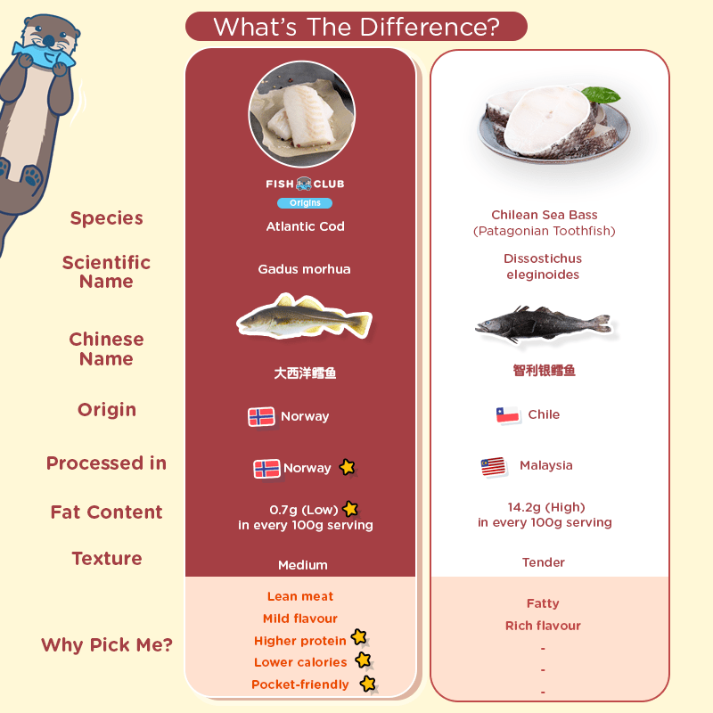 Cod Types Norwegian Atlantic Cod Fillet / 大西洋鳕鱼厚片 – Fish Club