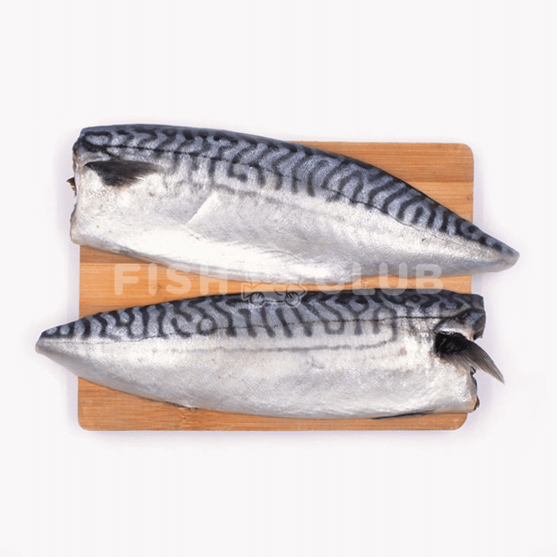 Norwegian Mackerel Fillet (Saba) / 鲭鱼厚片 – Fish Club