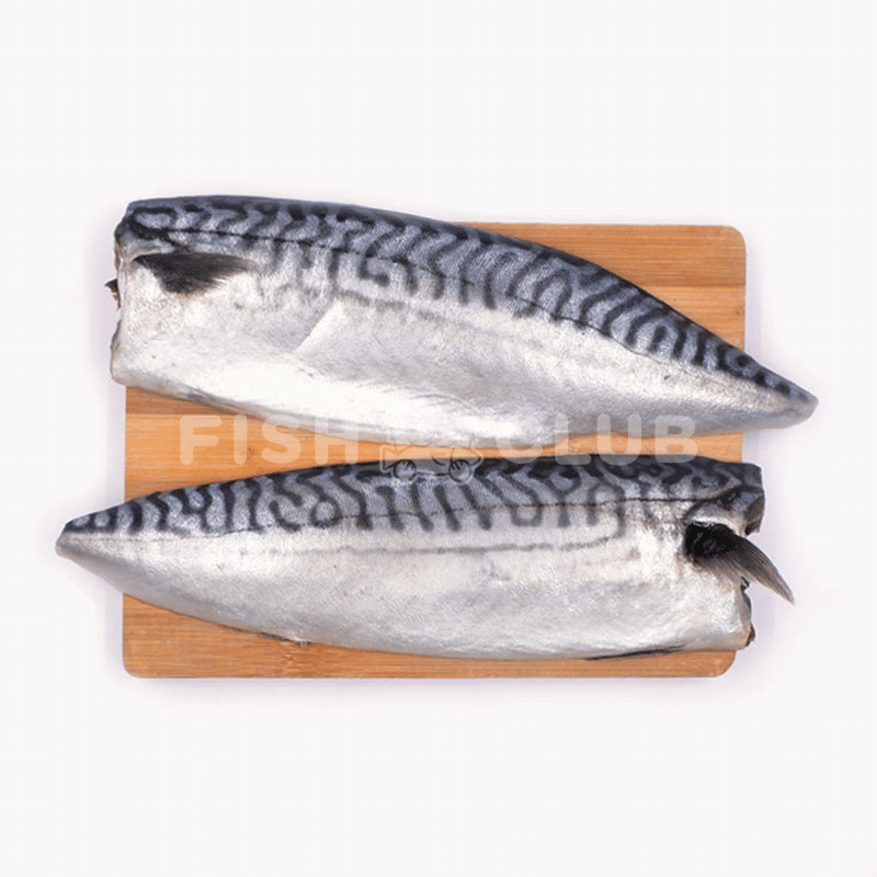 Norwegian Mackerel Fillet (Saba) / 鲭鱼厚片 - Fish Club