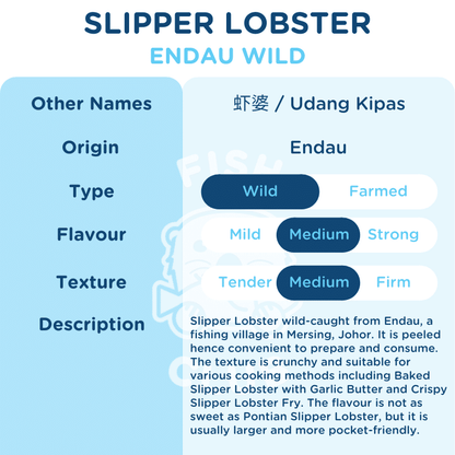 Peeled Slipper Lobster Meat (Endau Wild) / 虾婆肉 (兴楼野生) - Fish Club