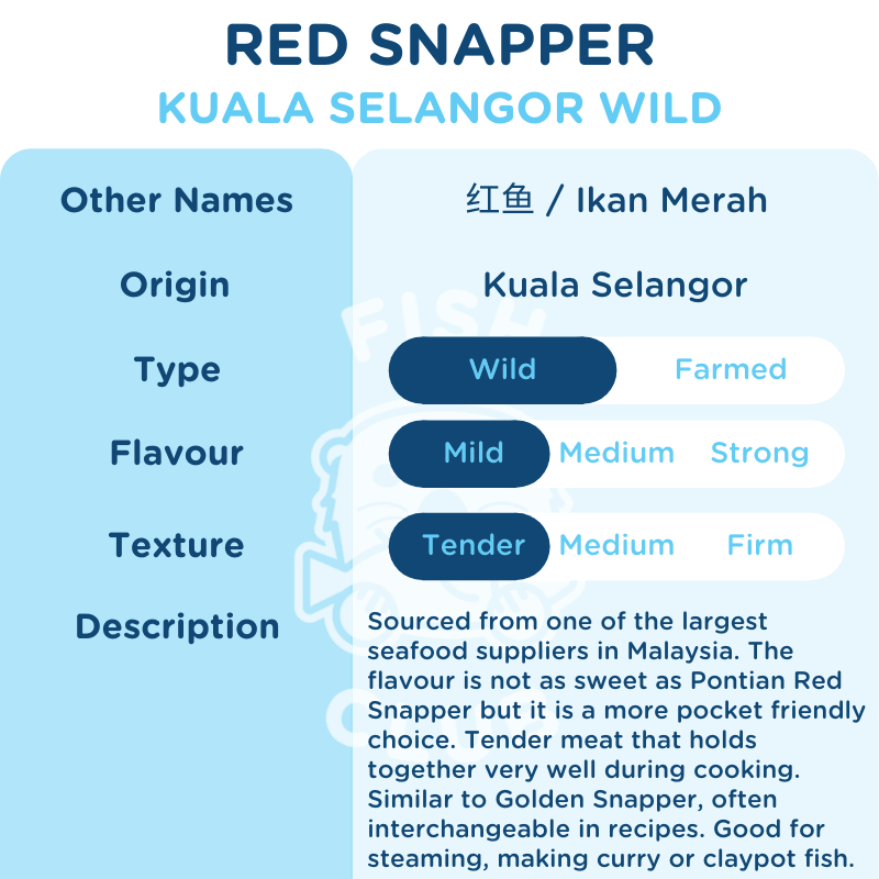 Red Snapper (Kuala Selangor Wild) Slices / 红鱼 (瓜雪野生) 薄片 - Fish Club