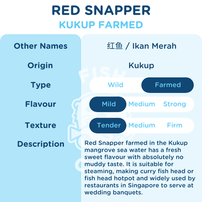 Red Snapper (Kukup Farmed) Slices / 红鱼（龟咯海养）薄片 - 200g - Fish Club