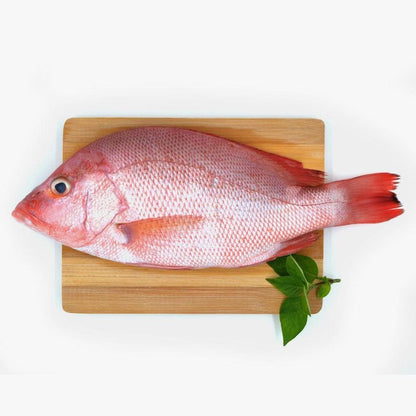 Red Snapper (Pontian Wild) Fillet / 红鱼（笨珍野生）厚片 - Fish Club