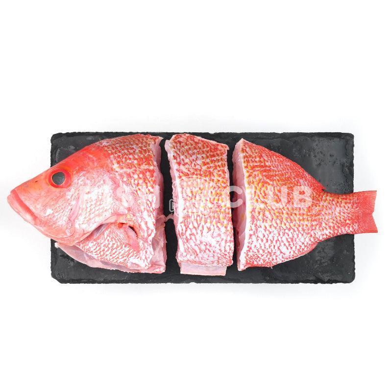 Red Snapper (Sabah Wild) Whole Steak / 红鱼 (沙巴野生) 全鱼段 - Fish Club