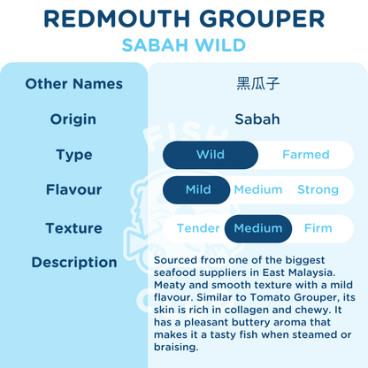 Redmouth Grouper (Sabah Wild) Whole Steak / 黑瓜子 (沙巴野生) 全鱼段 - Fish Club