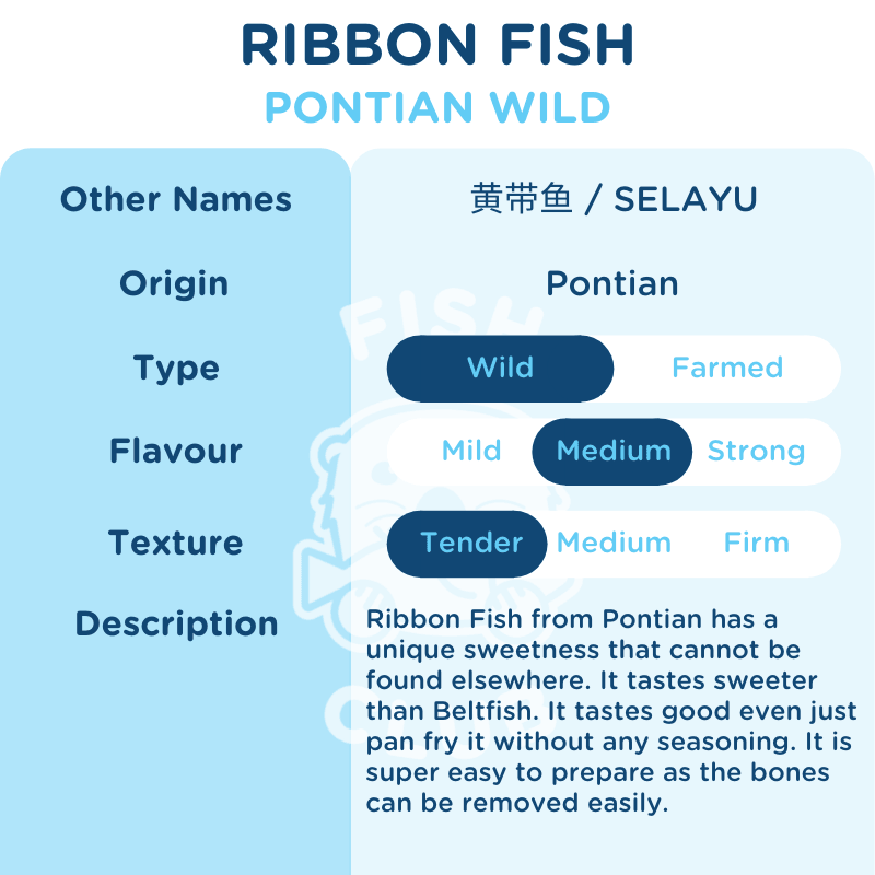 Ribbon Fish (Pontian Wild) Tail Steak / 黄带鱼（笨珍野生）尾段 - 250g - Fish Club