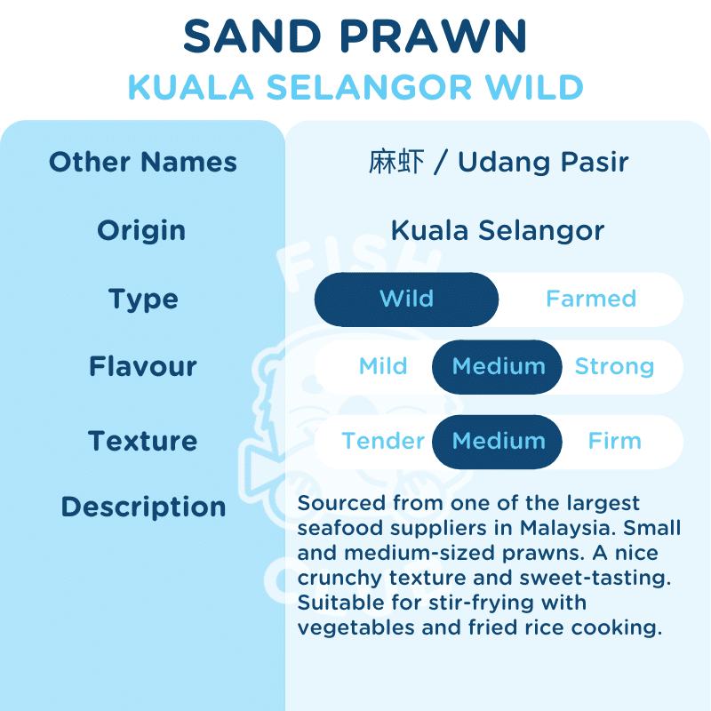 Sand Prawns (Kuala Selangor Wild) / 麻虾 (瓜雪野生) - 500g - Fish Club