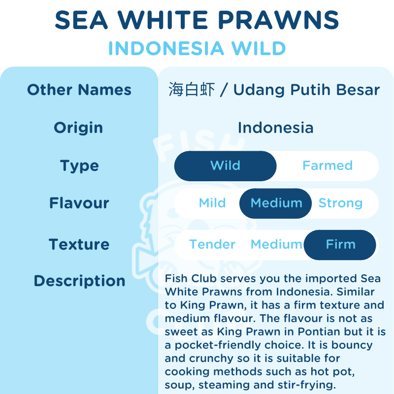 Sea White Prawns (Indo Wild) / 深海明虾 (印尼野生) - 1kg - Fish Club