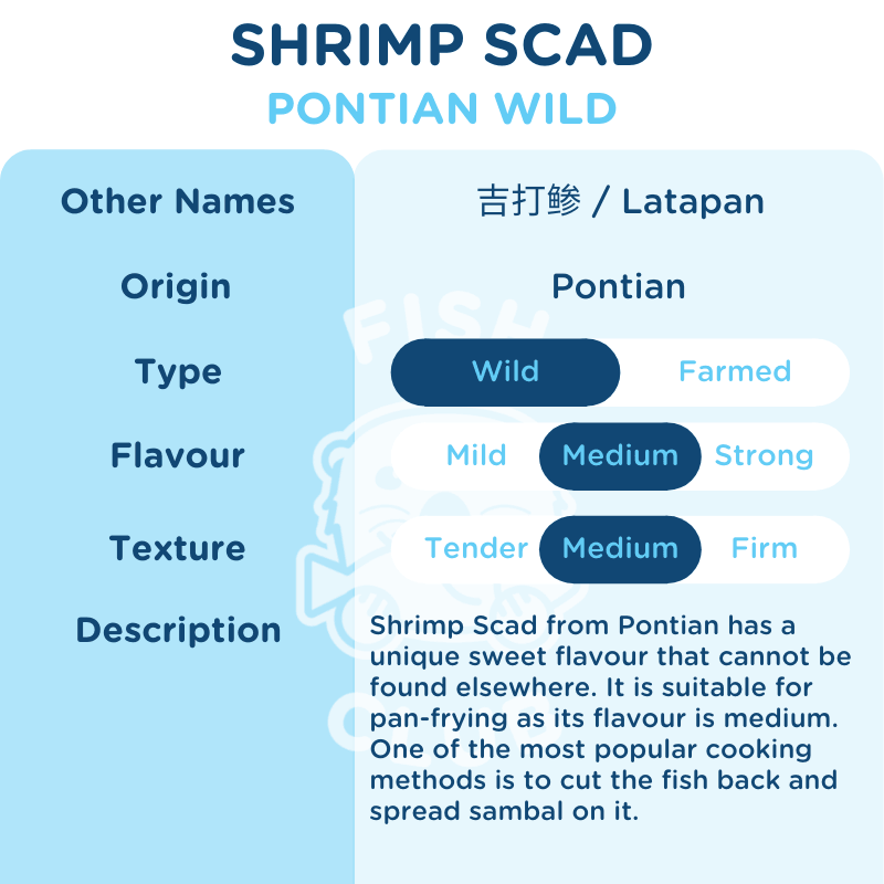 Shrimp Scad (Pontian Wild) / 吉打鲹（笨珍野生） - 500g - Fish Club