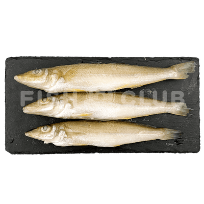 Silver Sillago (Indonesia Wild) / 沙尖 - 500g - Fish Club