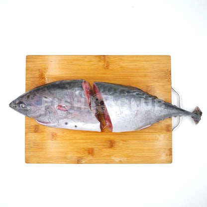 Skipjack Tuna (Kuala Selangor Wild) Whole Steak / 柴鱼 (瓜雪野生) 全鱼段 - Fish Club