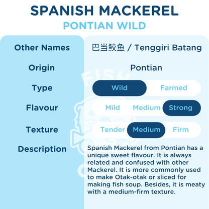 Spanish Mackerel (Pontian Wild) Whole Steak / 巴当鲛鱼（笨珍野生）全鱼段 - Fish Club