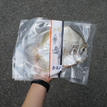 Spotted Sicklefish (Pontian Wild) / 曹喜（笨珍野生） - Fish Club