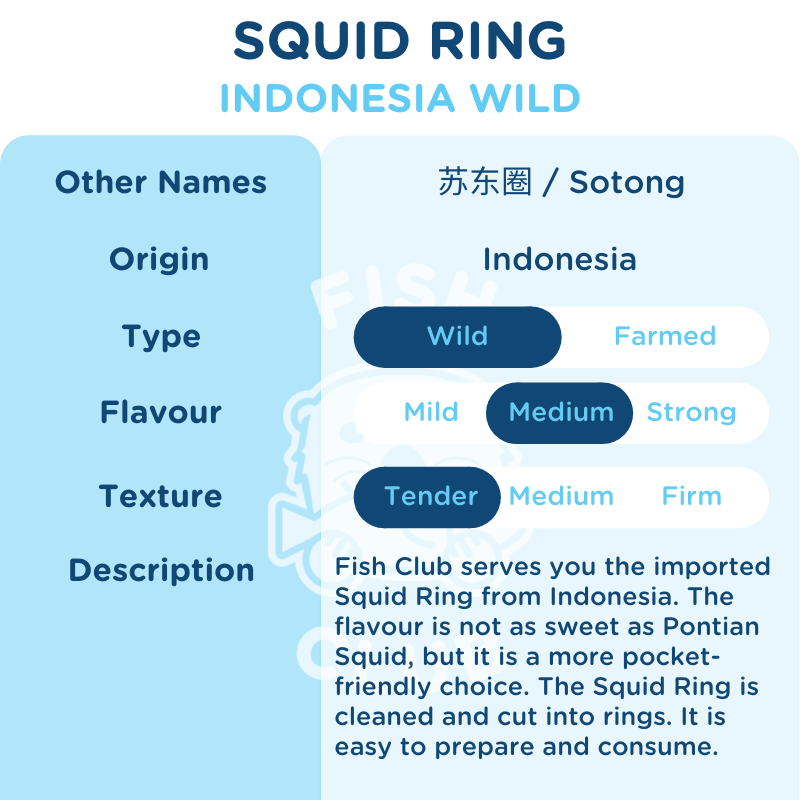 Squid Ring / 苏东圈 / Sotong Ring - Fish Club