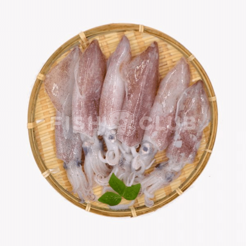 Squids (Pontian Wild) / 苏东（笨珍野生） - 500g - Fish Club