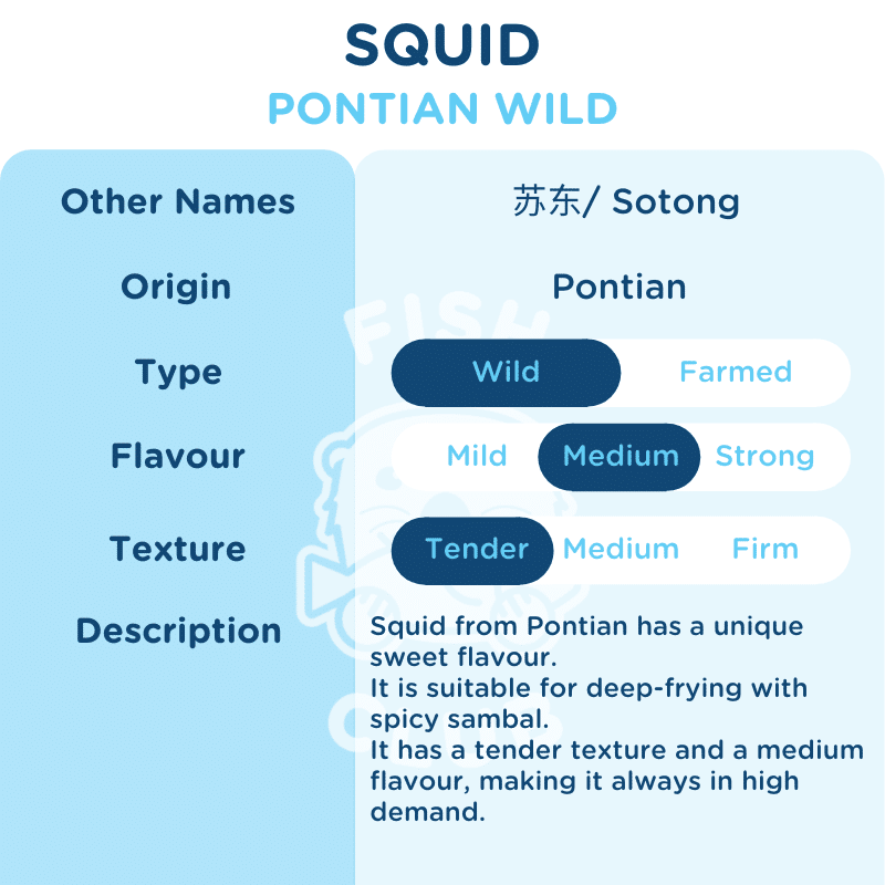 Squids (Pontian Wild) / 苏东（笨珍野生） - 500g - Fish Club