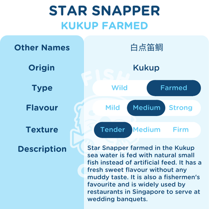 Star Snapper (Kukup Farmed) / 白点笛鲷（龟咯海养） - Fish Club