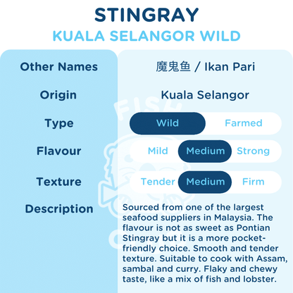 Stingray (Kuala Selangor Wild) / 魔鬼鱼 (瓜雪野生) - 500g - Fish Club