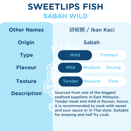 Sweetlips Fish (Sabah Wild) Whole Steak / 胡椒鲷 (沙巴野生) 全鱼段 - Fish Club