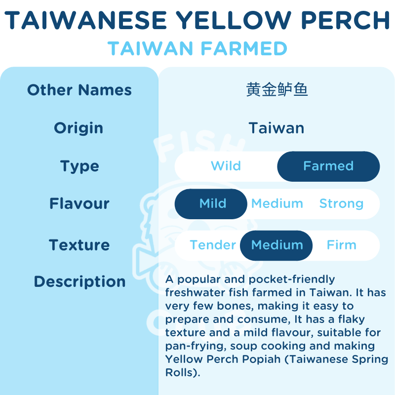 Taiwanese Farmed Yellow Perch Fillet / 台湾黄金鲈鱼 - Fish Club