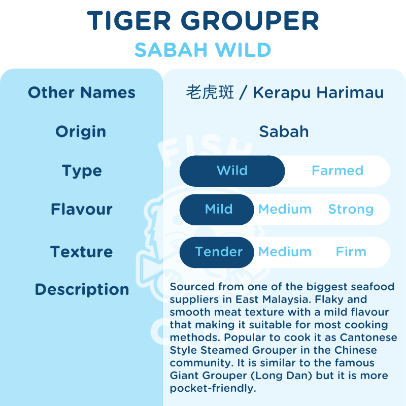 Tiger Grouper (Sabah Wild) Fillet / 老虎斑 (沙巴野生) 厚片 - Fish Club