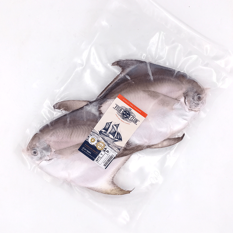 White Pomfret (Pontian Wild) / 白鲳（笨珍野生） - Fish Club