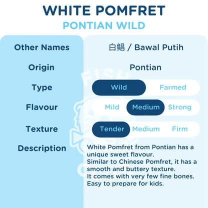 White Pomfret (Pontian Wild) / 白鲳（笨珍野生） - Fish Club