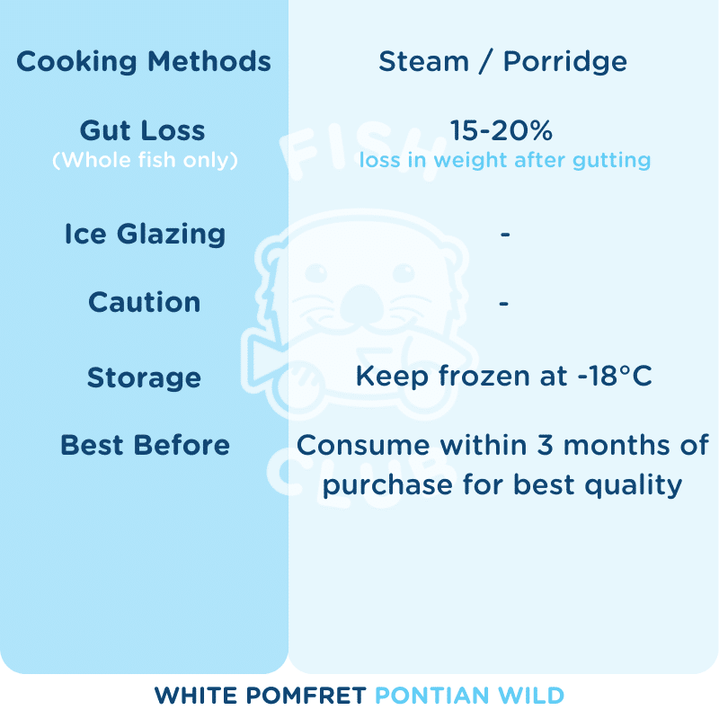 White Pomfret (Pontian Wild) / 白鲳（笨珍野生） - Fish Club