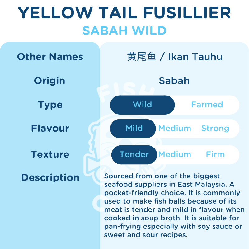 Yellowtail Fusillier (Sabah Wild) / 黄尾鱼 (沙巴野生) - Fish Club